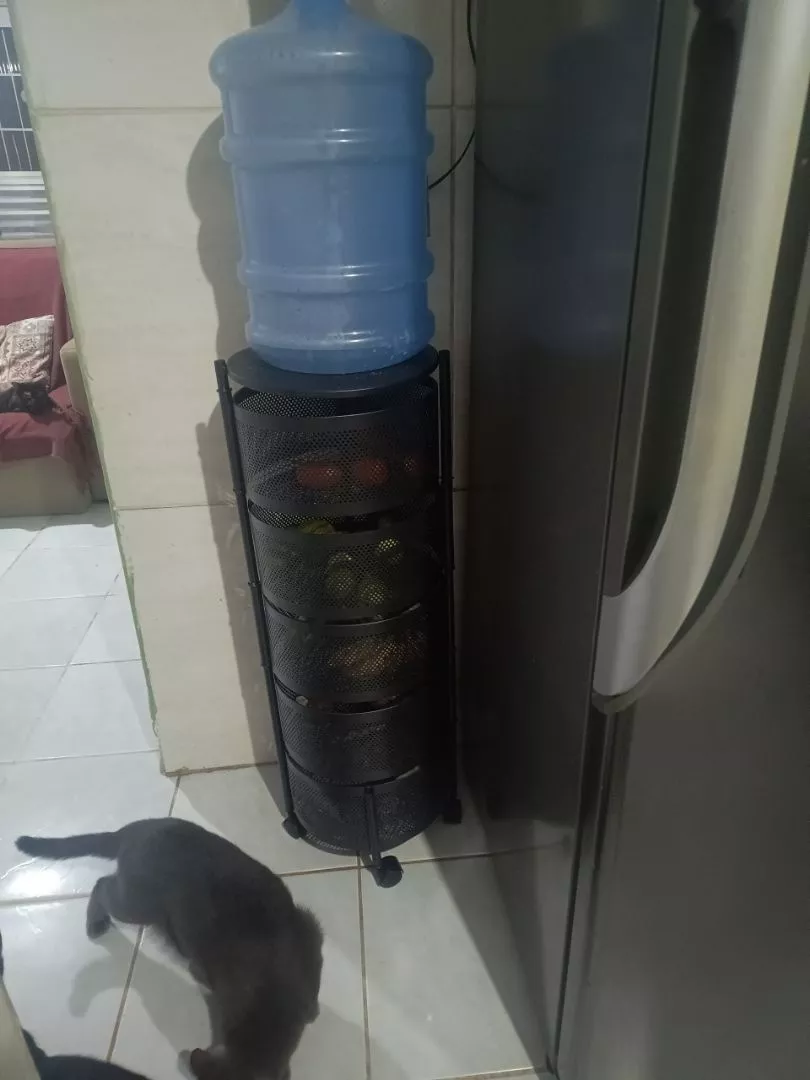 Foto enviada na avaliação